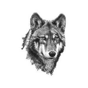 Meet your Posher, Karla